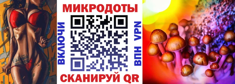 Псилоцибиновые грибы мицелий Новочебоксарск